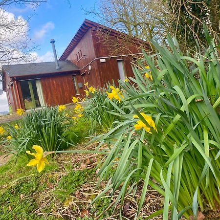 Ballyhoura Mountain Lodges Ballyorgan Buitenkant foto