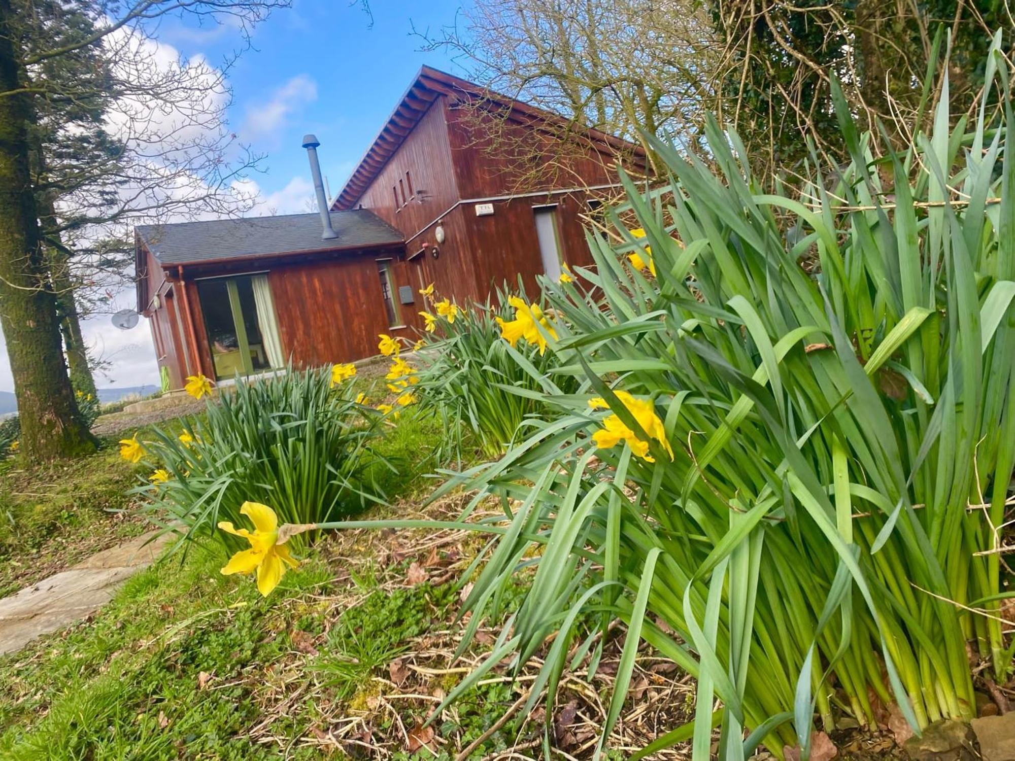 Ballyhoura Mountain Lodges Ballyorgan Buitenkant foto