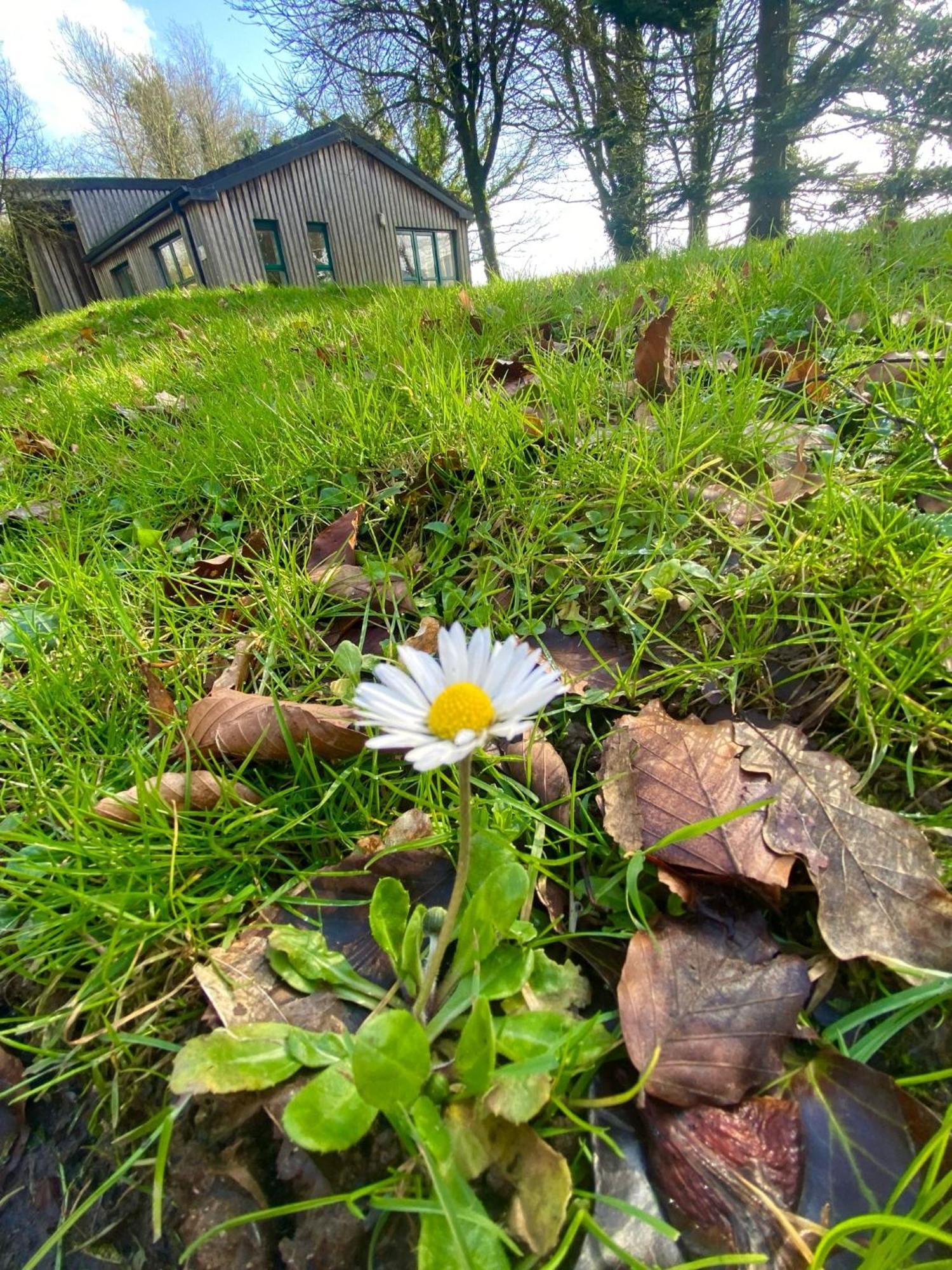 Ballyhoura Mountain Lodges Ballyorgan Buitenkant foto
