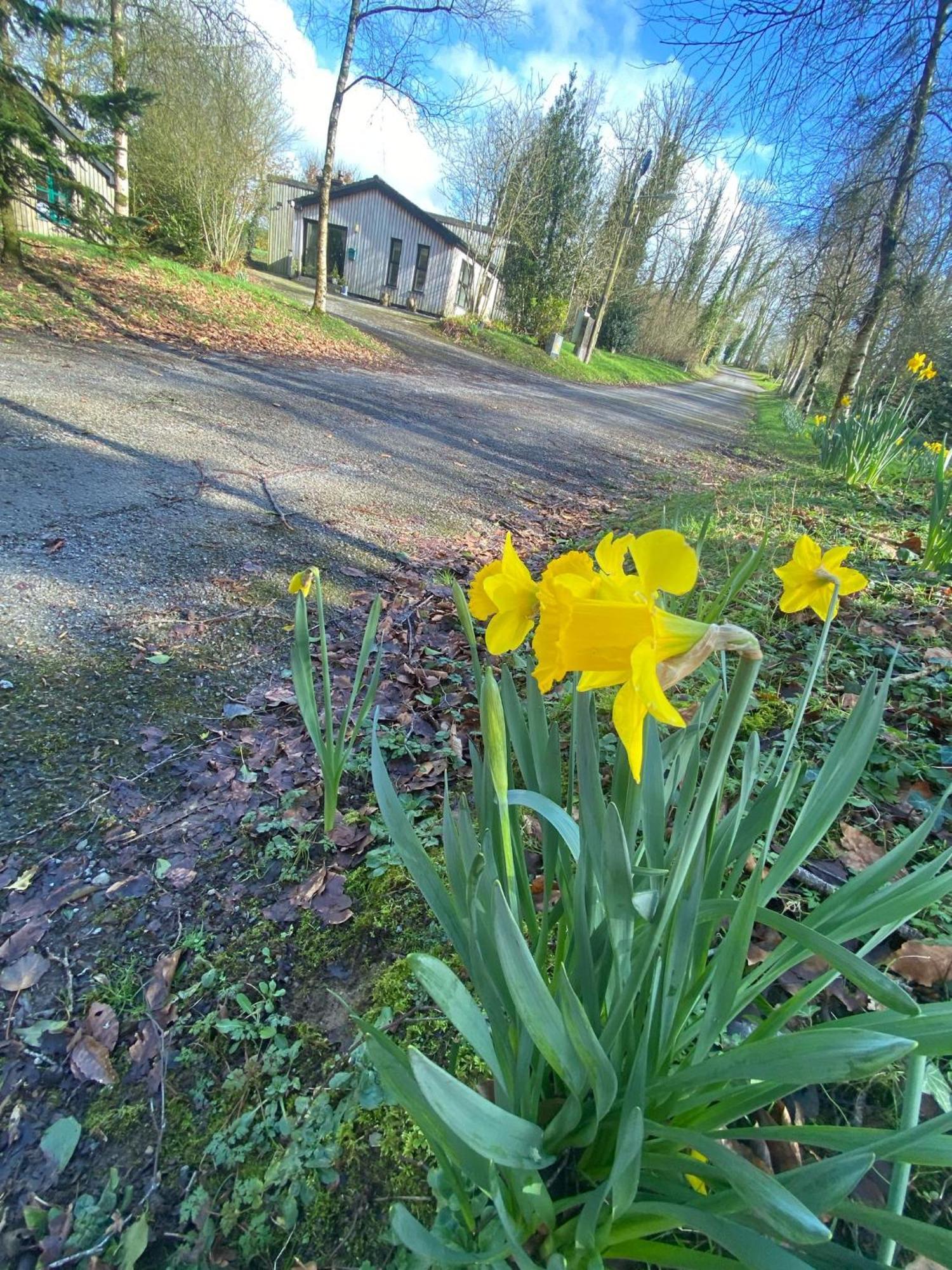 Ballyhoura Mountain Lodges Ballyorgan Buitenkant foto