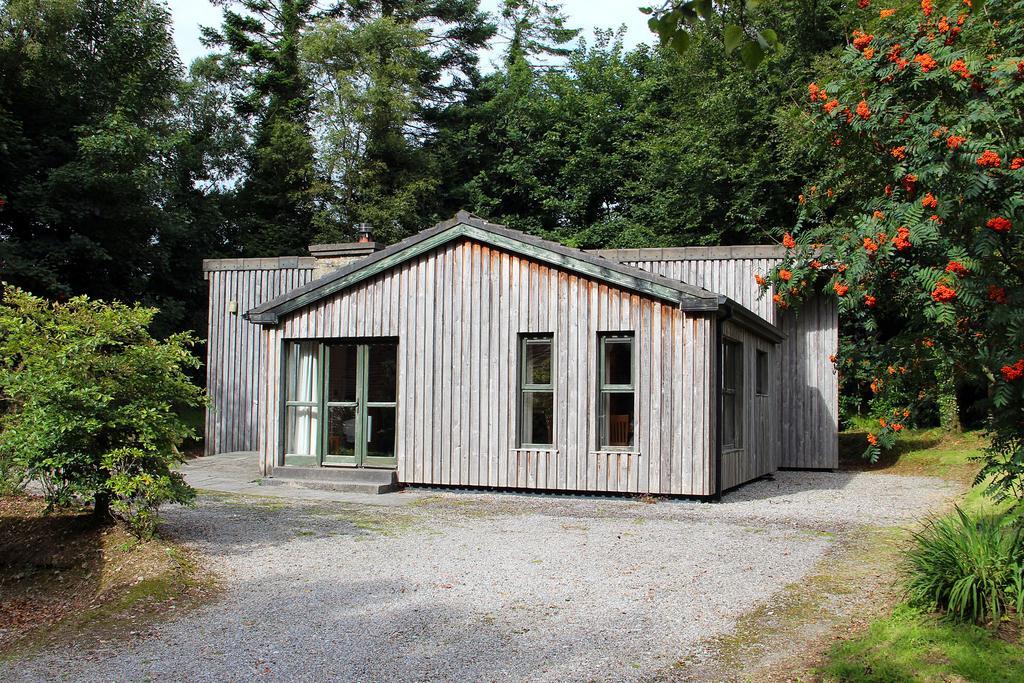 Ballyhoura Mountain Lodges Ballyorgan Kamer foto